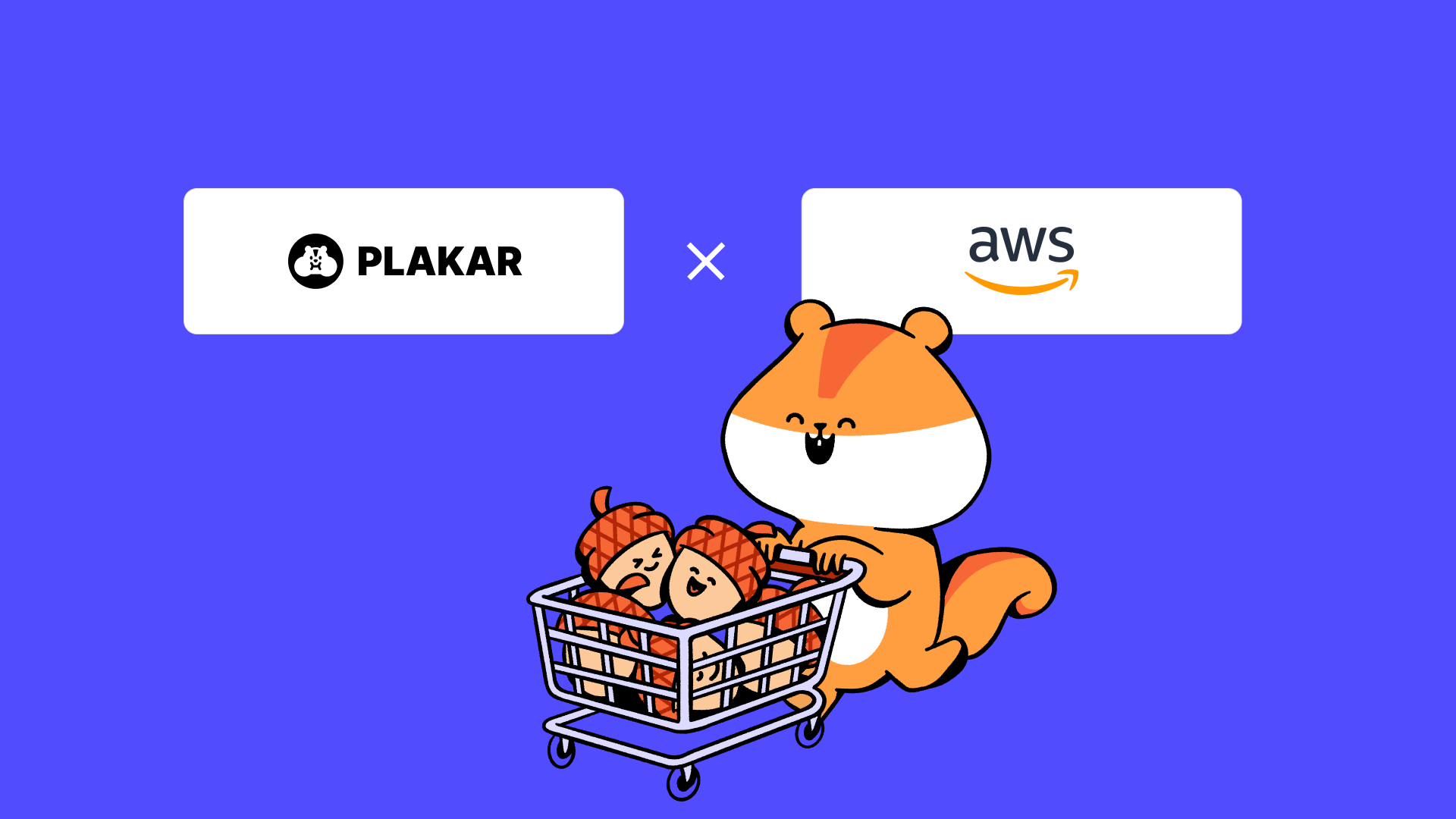 Plakar Control Plane is now on AWS Marketplace: Resilience on your terms